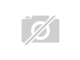 Kanarien suchen dringend neues Zuhause